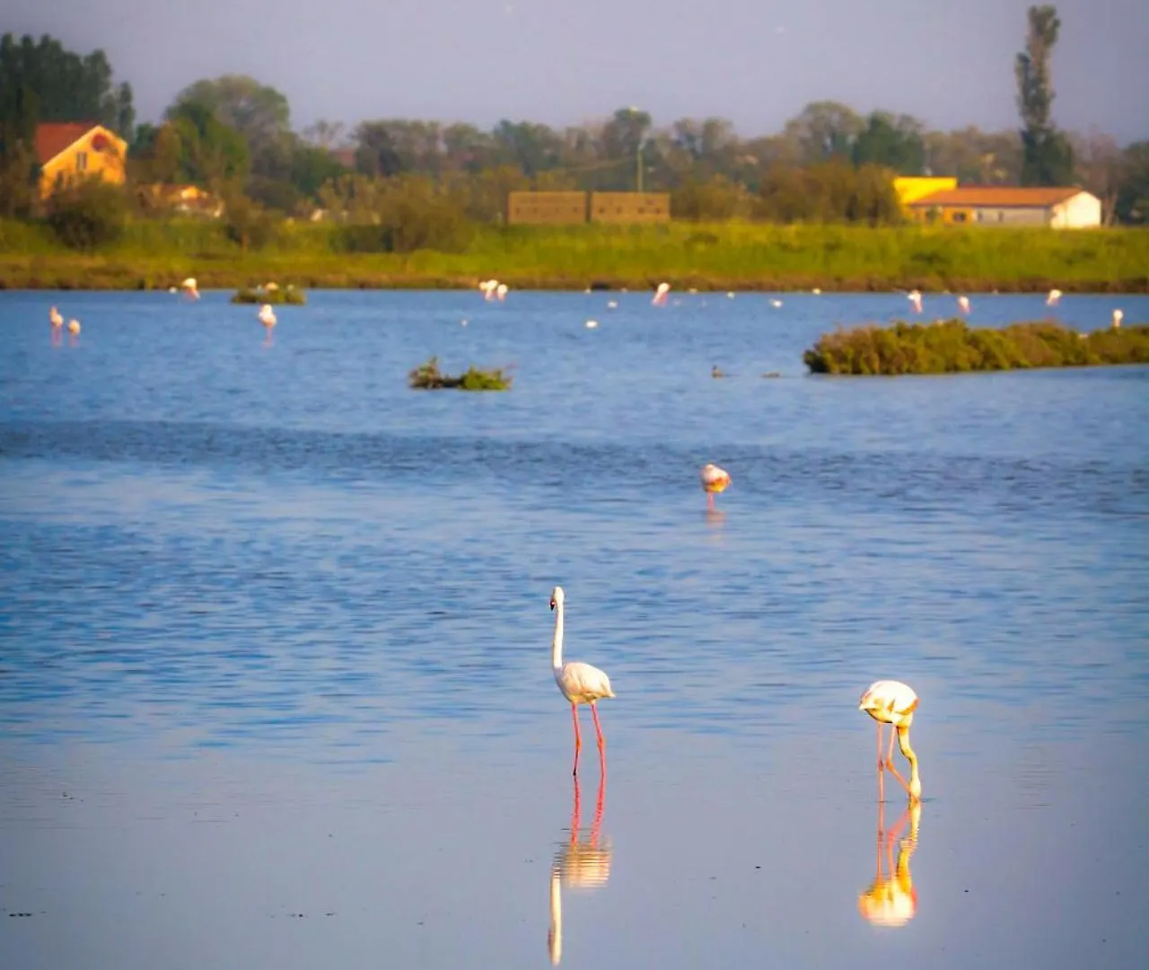 Residence Eden Comacchio Italy